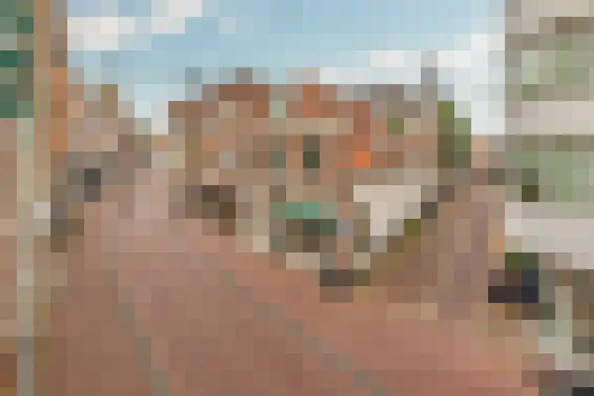 Koningstraat 31 A Haarlem thumbnail 5