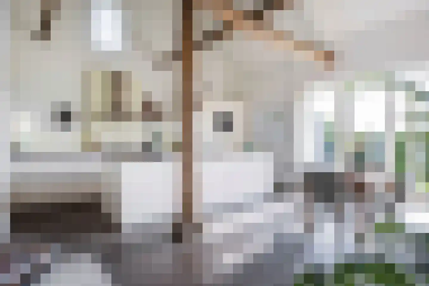 Koningstraat 31 Ewijk thumbnail 10