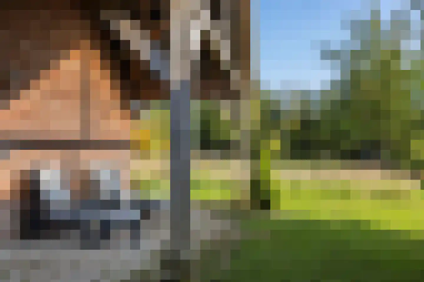 Koningstraat 31 Ewijk thumbnail 40
