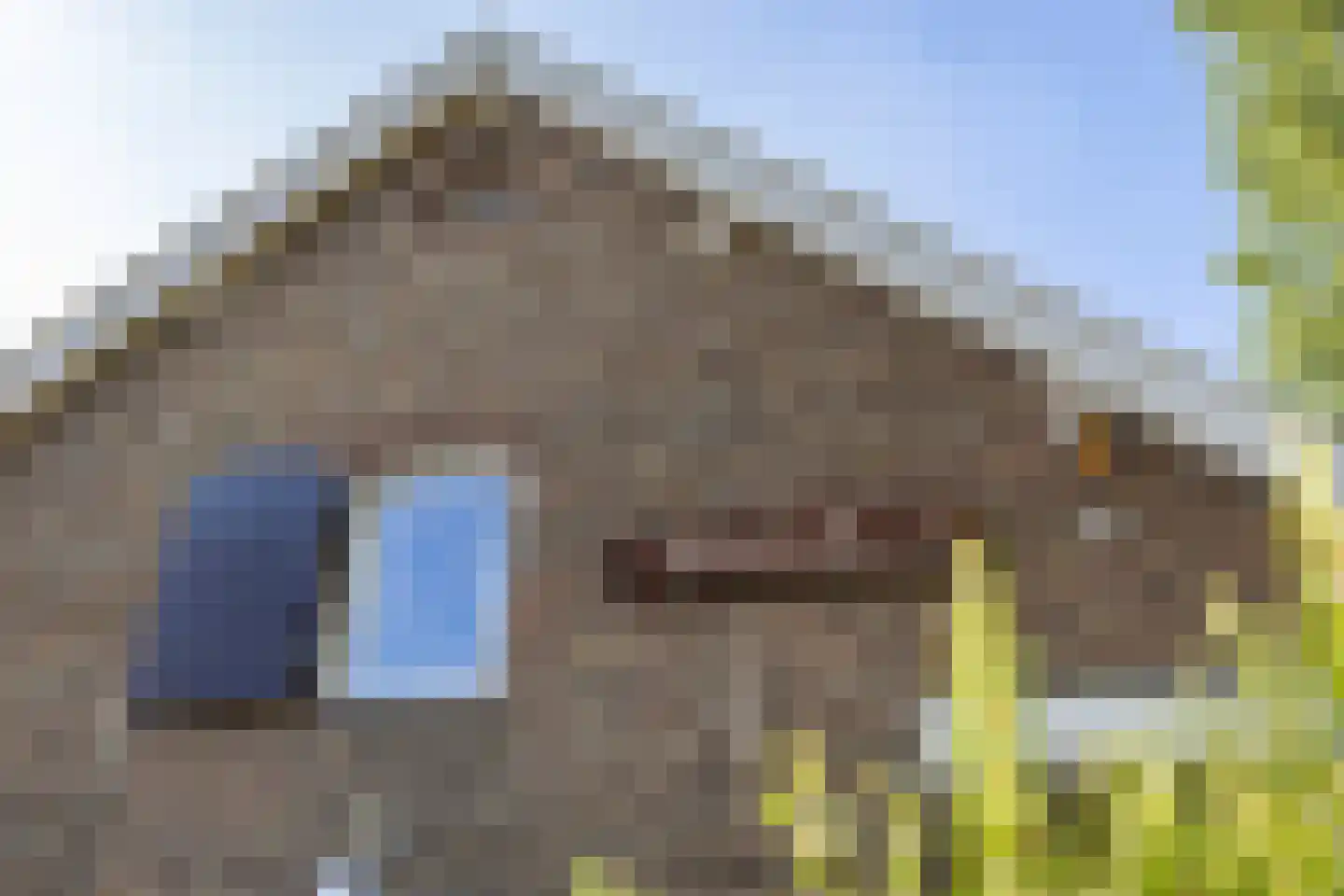Koningstraat 31 Ewijk thumbnail 48