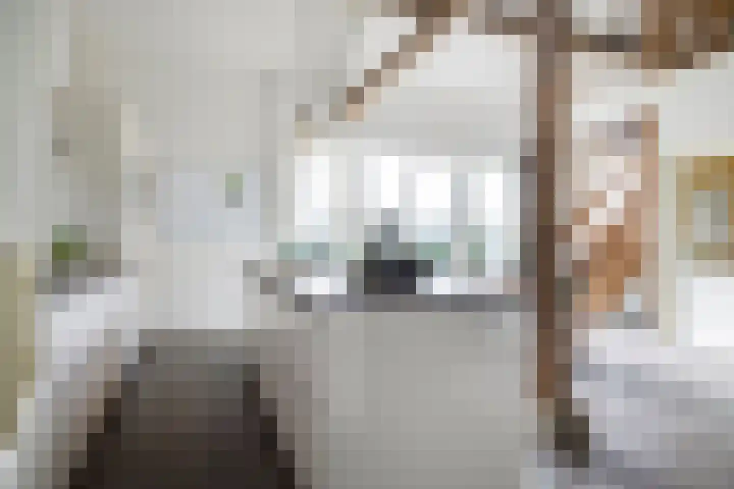 Koningstraat 31 Ewijk thumbnail 8