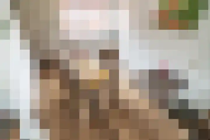 Koningstraat 31 Zoetermeer thumbnail 10