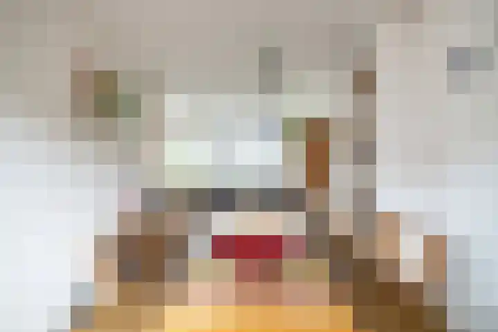 Koningstraat 31 Zoetermeer thumbnail 14