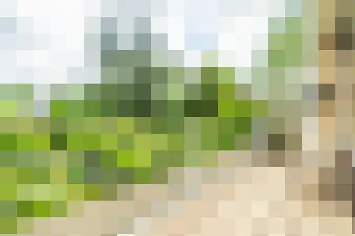 Koningstraat 31 Zoetermeer thumbnail 17