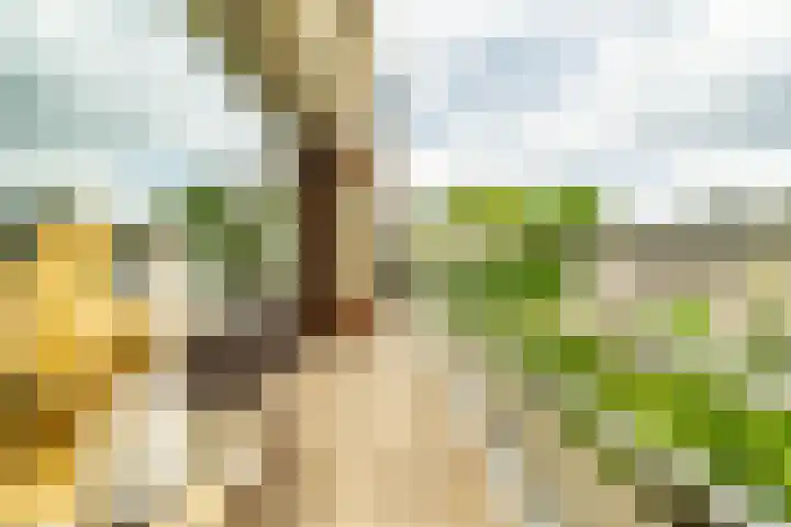 Koningstraat 31 Zoetermeer thumbnail 18