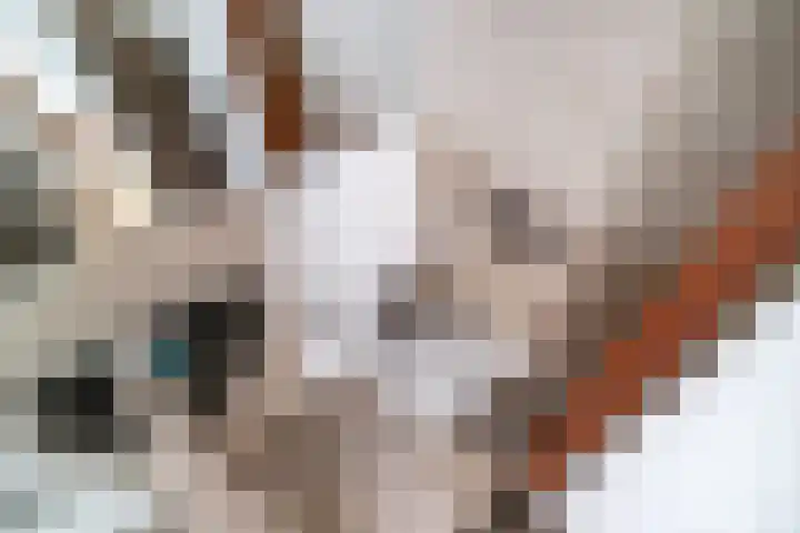 Koningstraat 31 Zoetermeer thumbnail 23