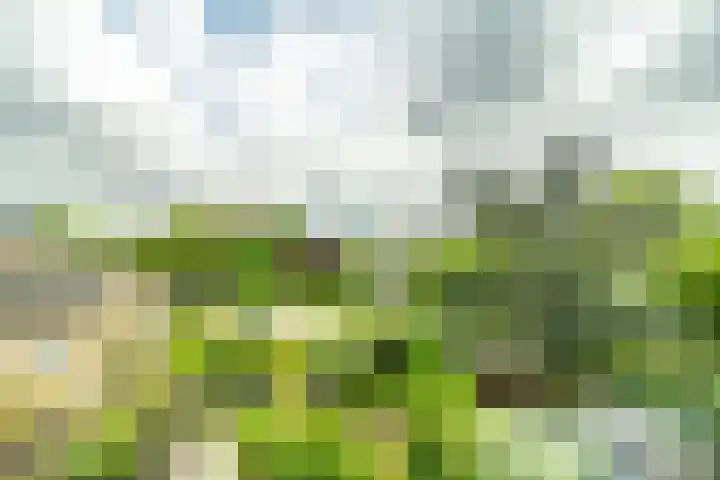 Koningstraat 31 Zoetermeer thumbnail 27