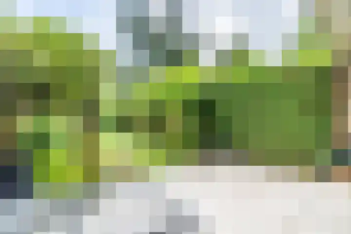 Koningstraat 31 Zoetermeer thumbnail 40