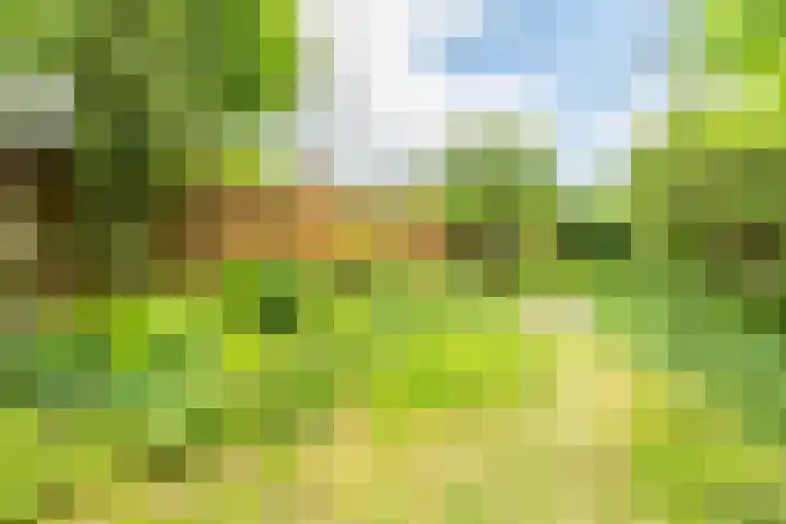 Koningstraat 31 Zoetermeer thumbnail 42