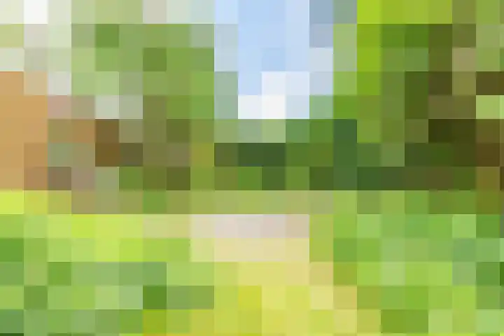 Koningstraat 31 Zoetermeer thumbnail 43
