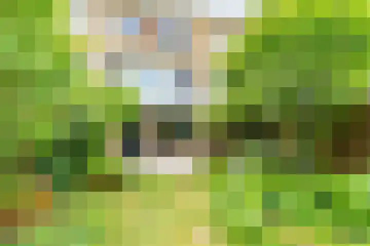Koningstraat 31 Zoetermeer thumbnail 46