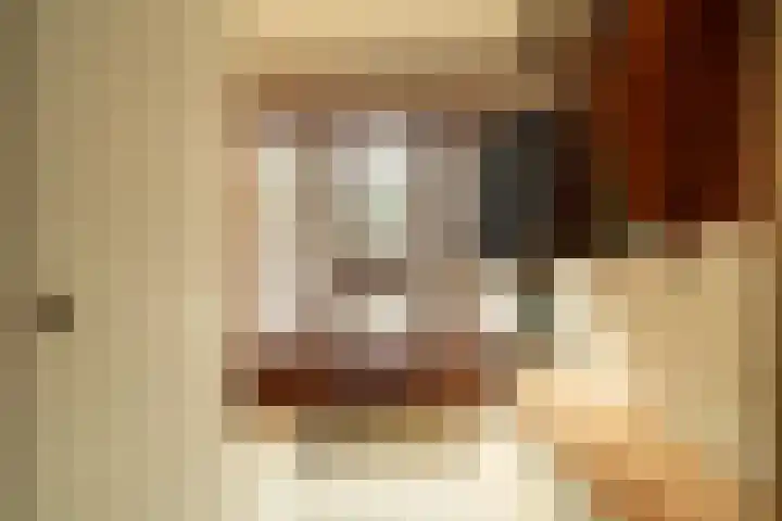 Koningstraat 31 Zoetermeer thumbnail 48