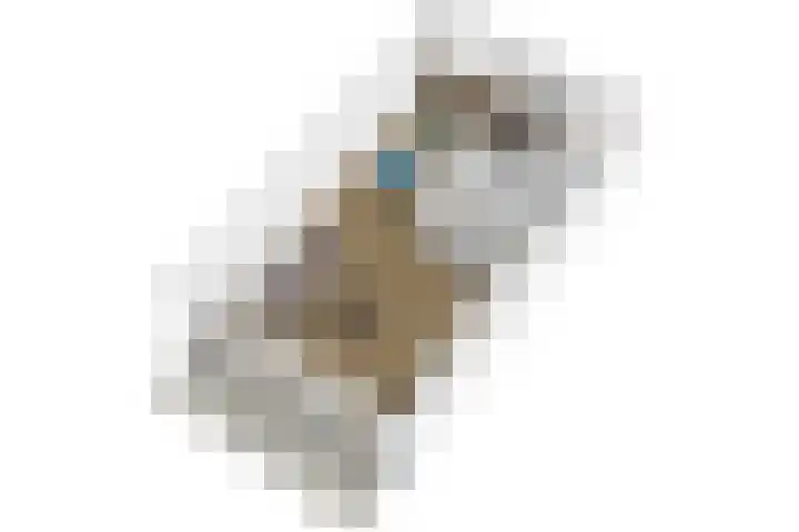 Koningstraat 31 Zoetermeer thumbnail 54