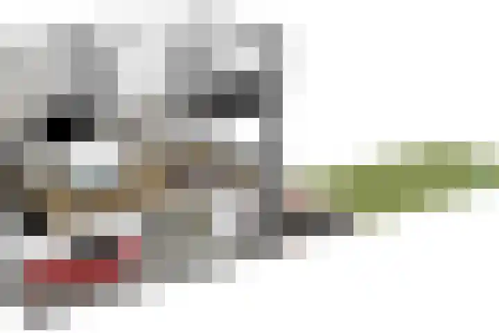 Koningstraat 31 Zoetermeer thumbnail 59