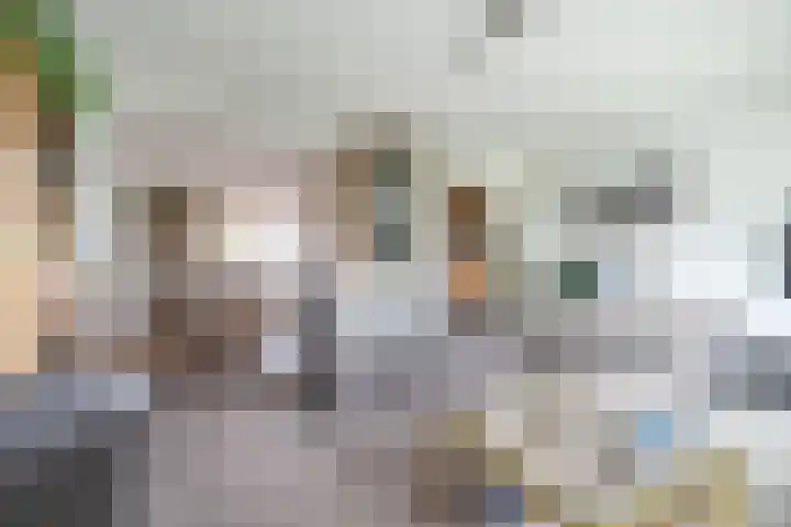 Koningstraat 31 Zoetermeer thumbnail 8