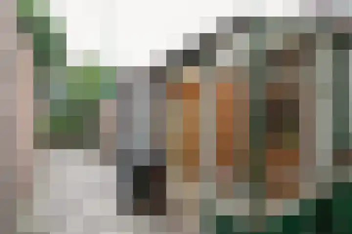 Koningstraat 34 Raamsdonksveer thumbnail 30
