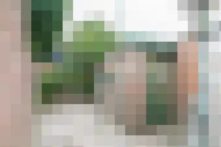 Koningstraat 34 Raamsdonksveer thumbnail 32