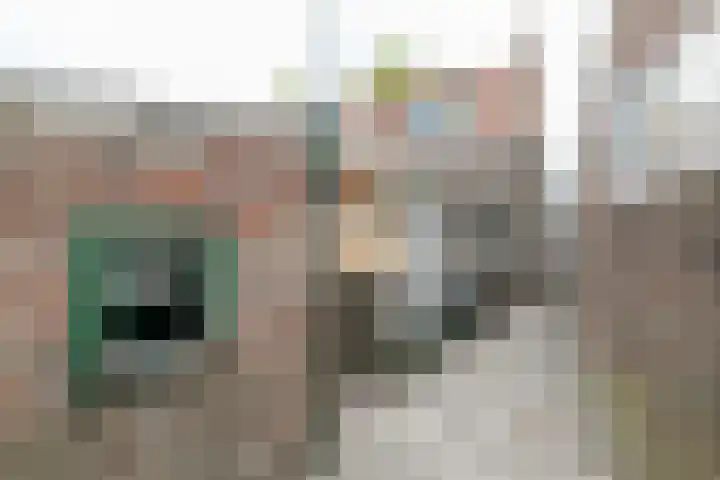 Koningstraat 34 Raamsdonksveer thumbnail 33