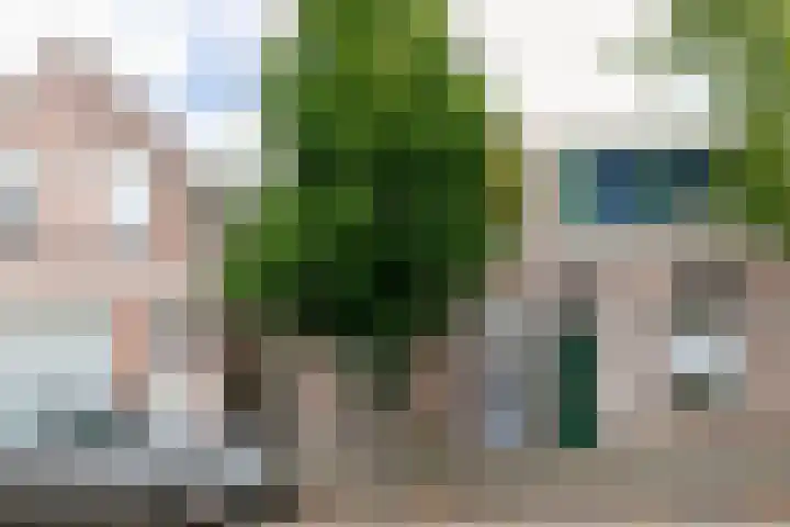 Koningstraat 34 Raamsdonksveer thumbnail 8