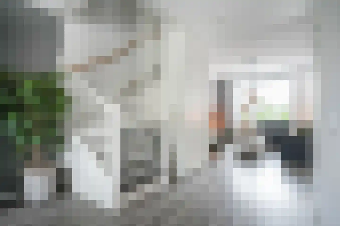 Koningstraat 35 Afferden thumbnail 17