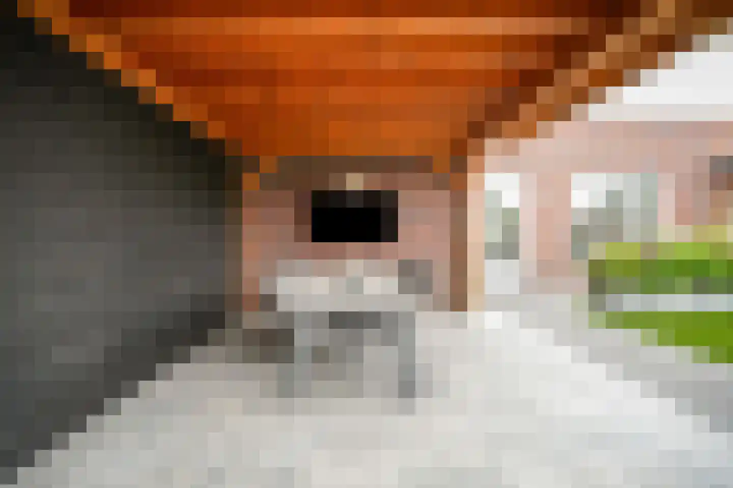 Koningstraat 35 Afferden thumbnail 39