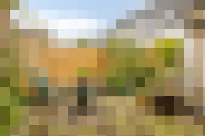 Koningstraat 35 Leiderdorp thumbnail 4