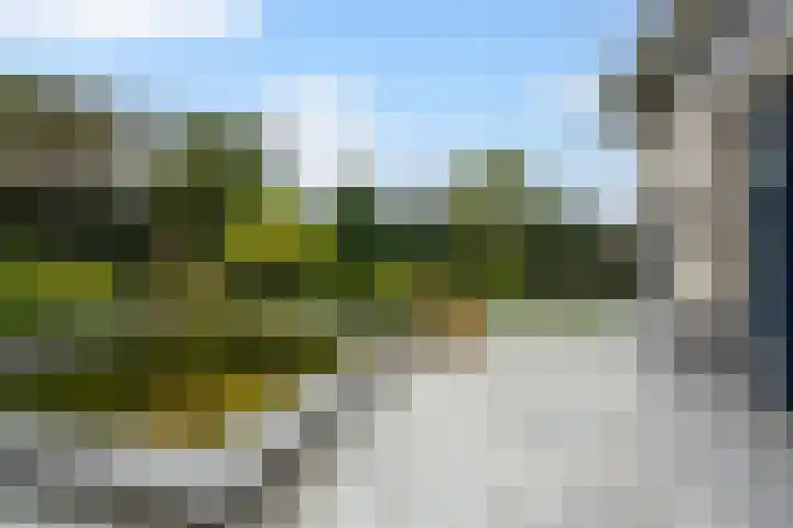 Koningstraat 35 Naaldwijk thumbnail 31