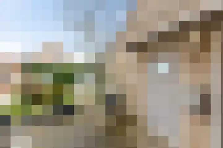 Koningstraat 35 Rosmalen thumbnail 30