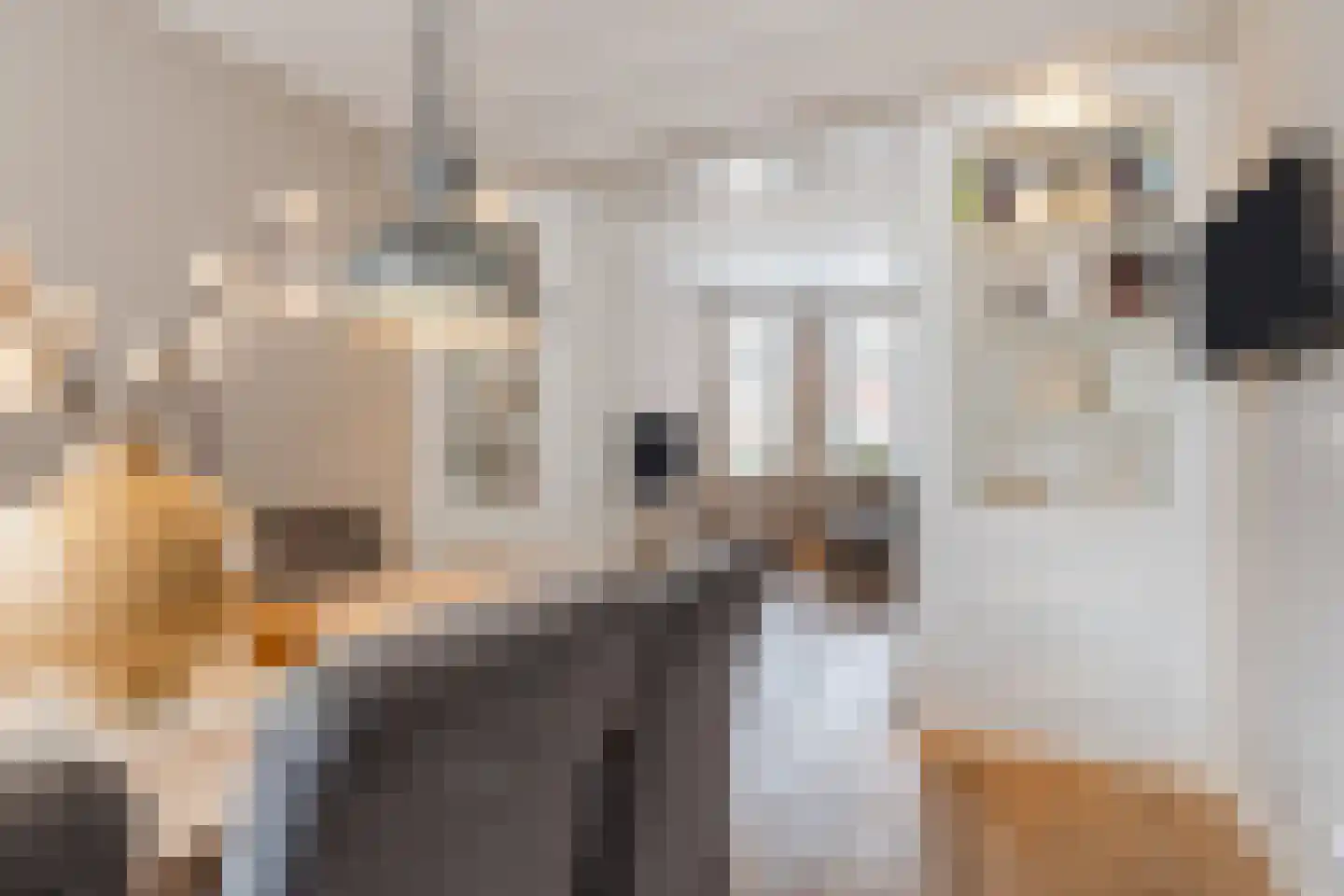 Koningstraat 4 Bodegraven thumbnail 23