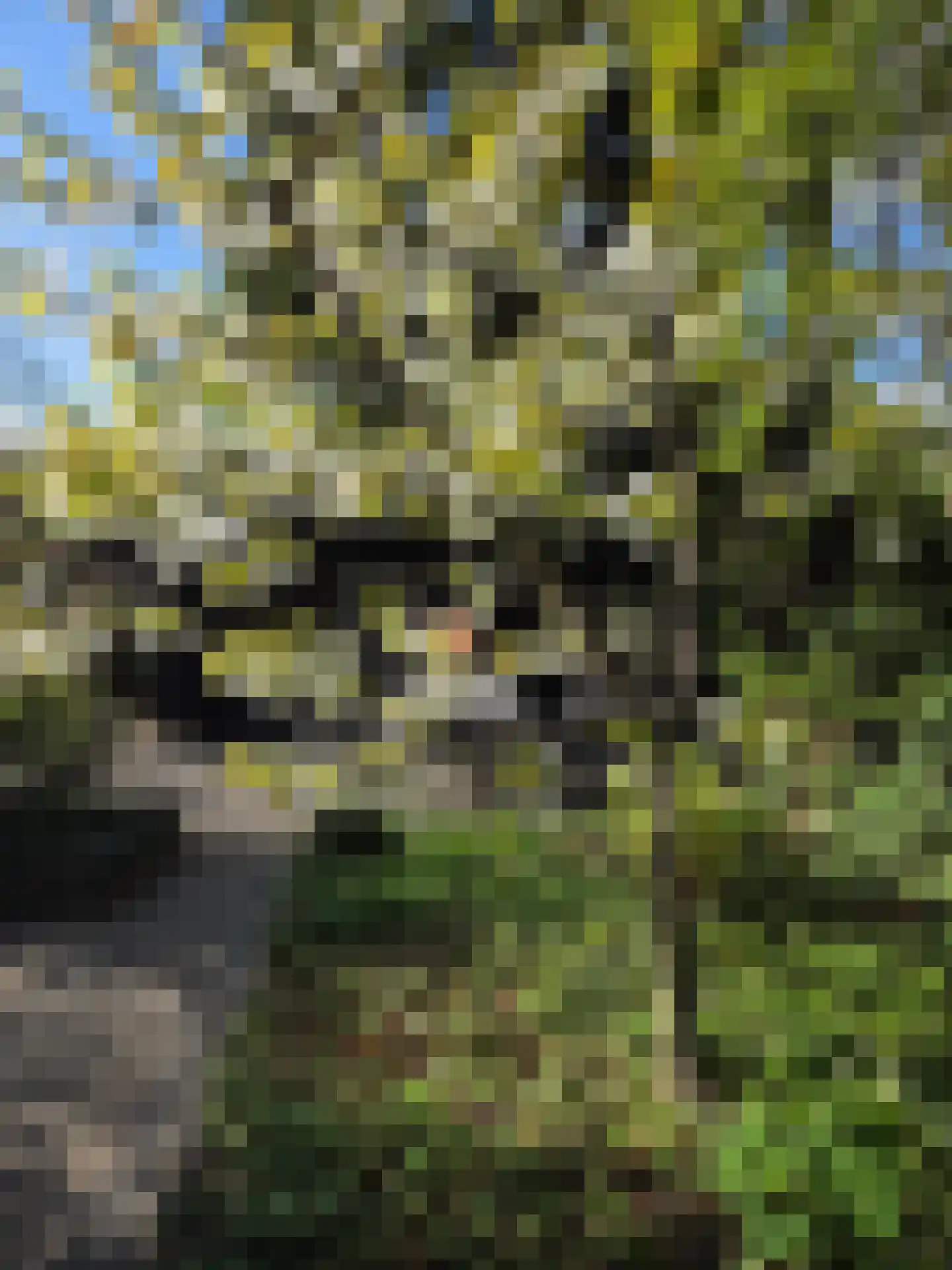 Koningstraat 42 Apeldoorn thumbnail 26