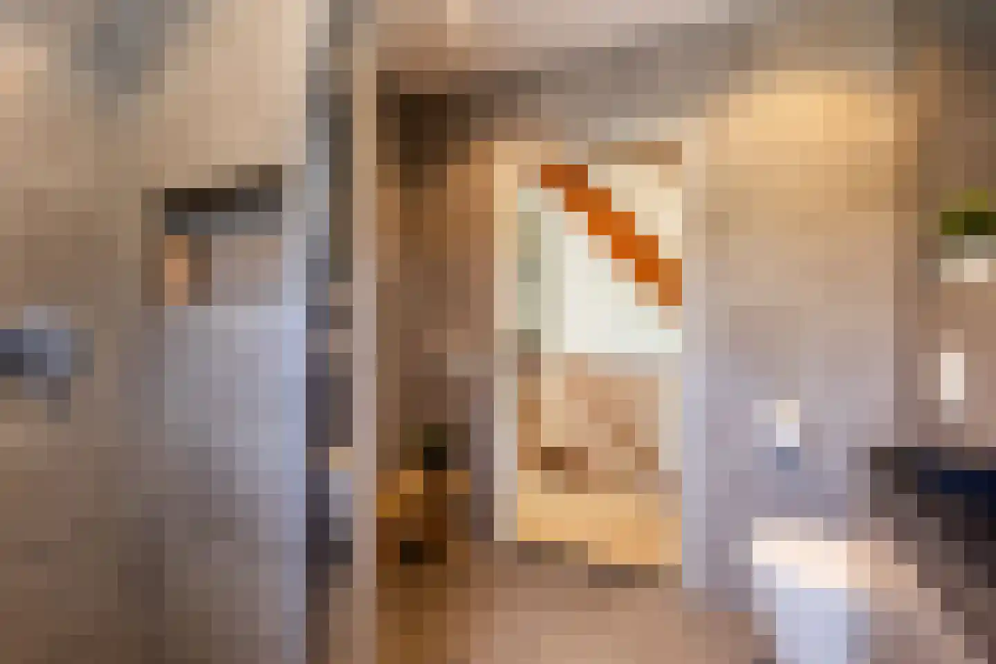 Koningstraat 42 Apeldoorn thumbnail 38