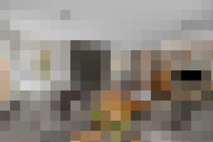 Koningstraat 420 Dordrecht thumbnail 13