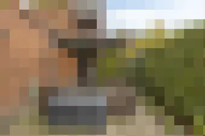 Koningstraat 420 Dordrecht thumbnail 15