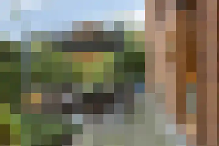 Koningstraat 420 Dordrecht thumbnail 4
