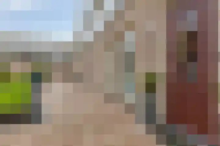 Koningstraat 420 Dordrecht thumbnail 9