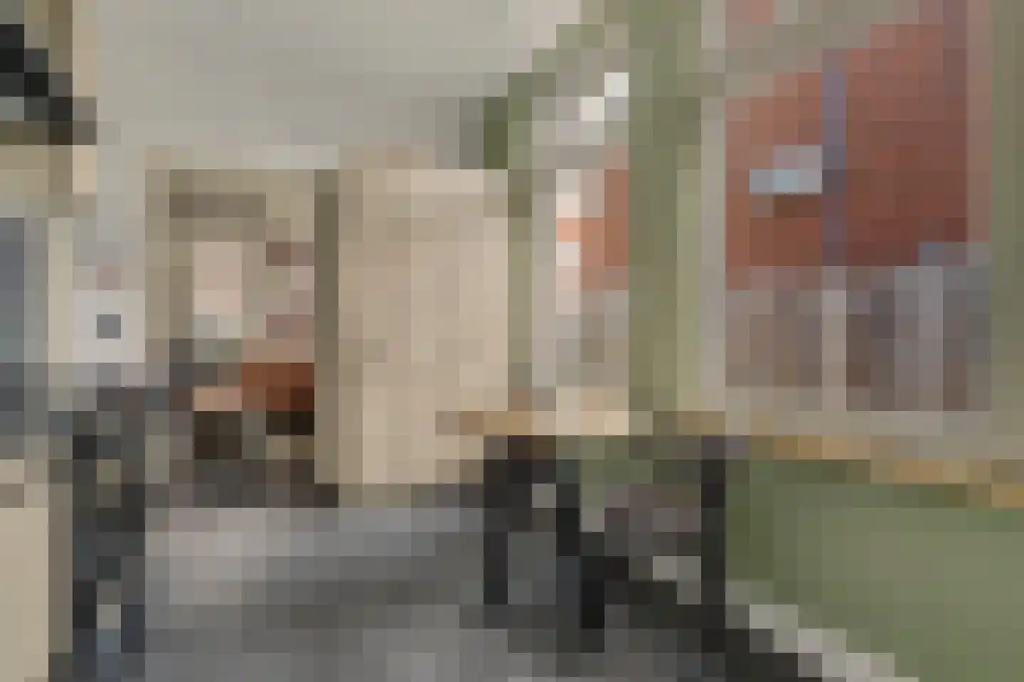 Koningstraat 44 Raamsdonksveer thumbnail 16