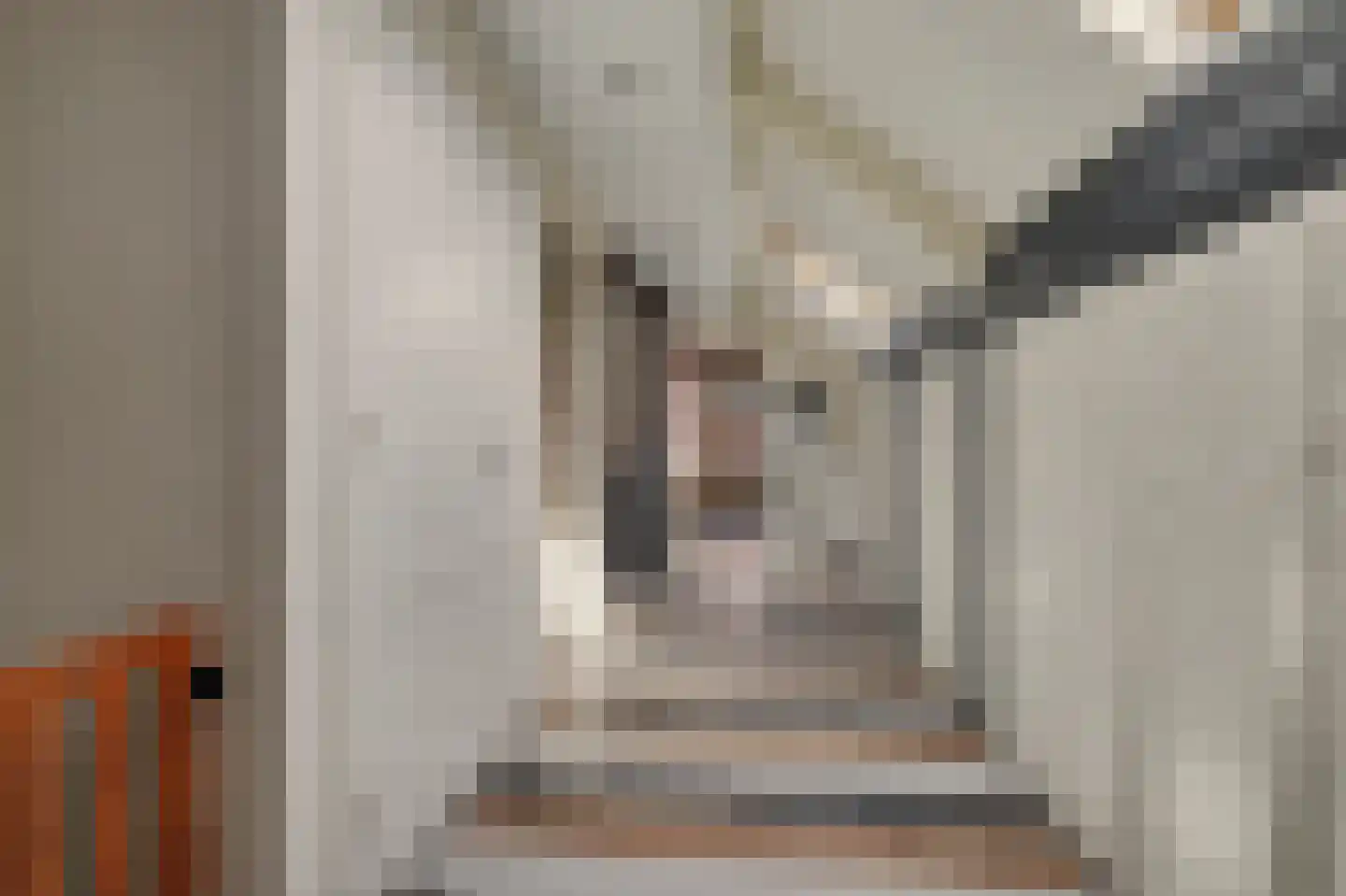 Koningstraat 44 Raamsdonksveer thumbnail 35