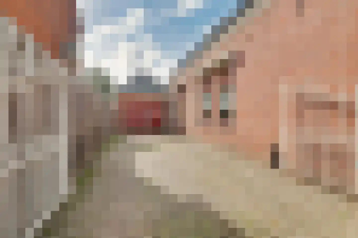 Koningstraat 44 Raamsdonksveer thumbnail 56