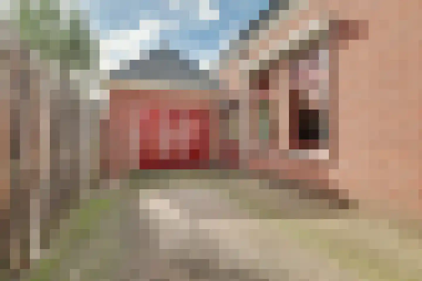 Koningstraat 44 Raamsdonksveer thumbnail 57