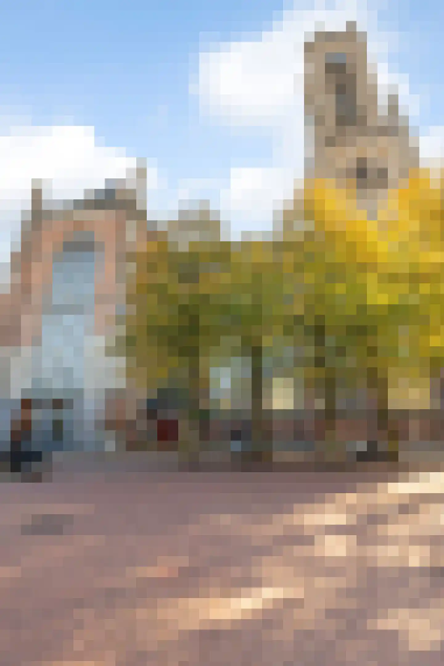 Koningstraat 45 Arnhem thumbnail 32