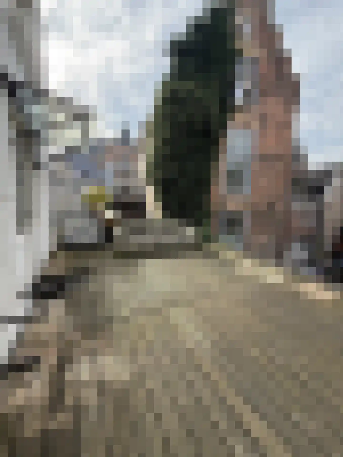 Koningstraat 45 Arnhem thumbnail 4