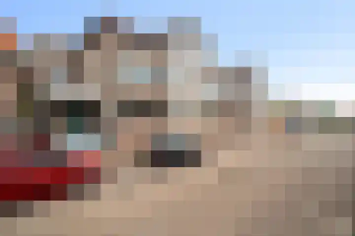 Koningstraat 46 Hippolytushoef thumbnail 6