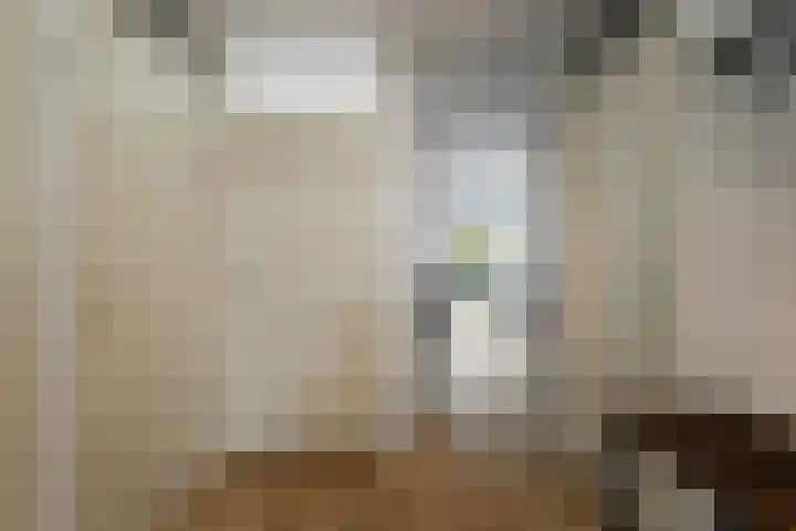 Koningstraat 46 Hippolytushoef thumbnail 8