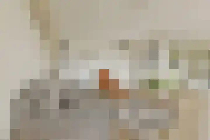 Koningstraat 466 Dordrecht thumbnail 7