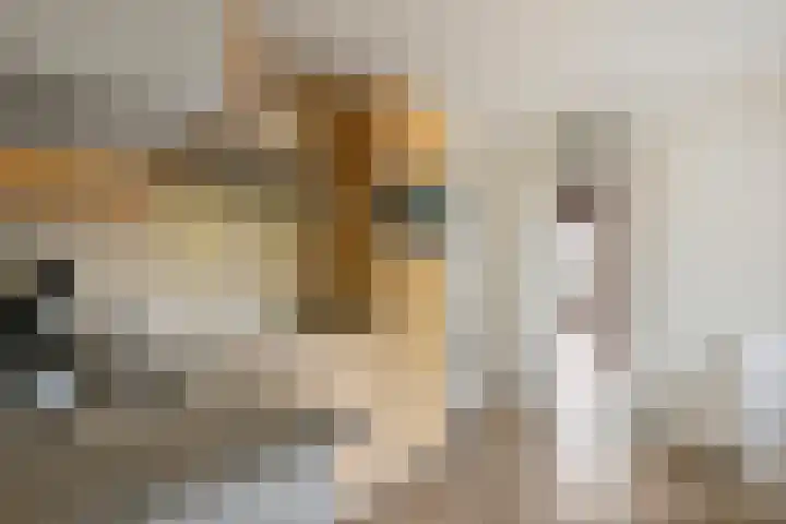 Koningstraat 48 B Afferden thumbnail 17