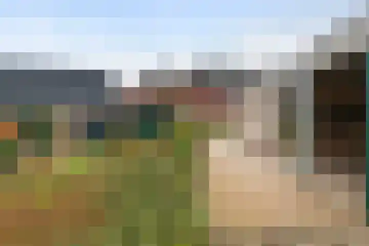 Koningstraat 48 B Afferden thumbnail 51