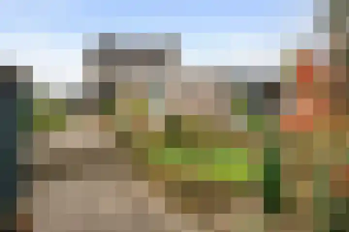 Koningstraat 48 B Afferden thumbnail 6