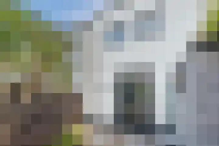 Koningstraat 5 Bodegraven thumbnail 25