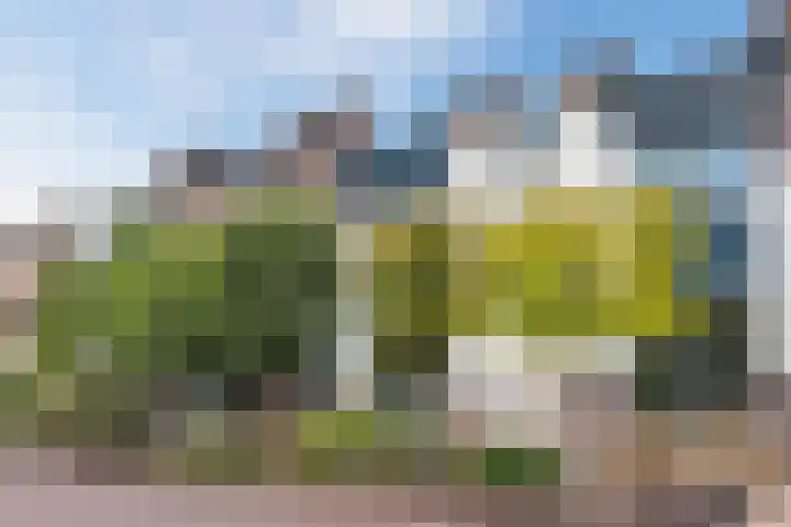 Koningstraat 5 Bodegraven thumbnail 30