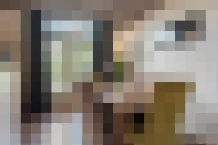 Koningstraat 5 Bodegraven thumbnail 5